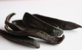 Dried leeches to make ointment